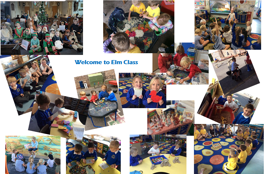 Elm Class 26 Elm Class